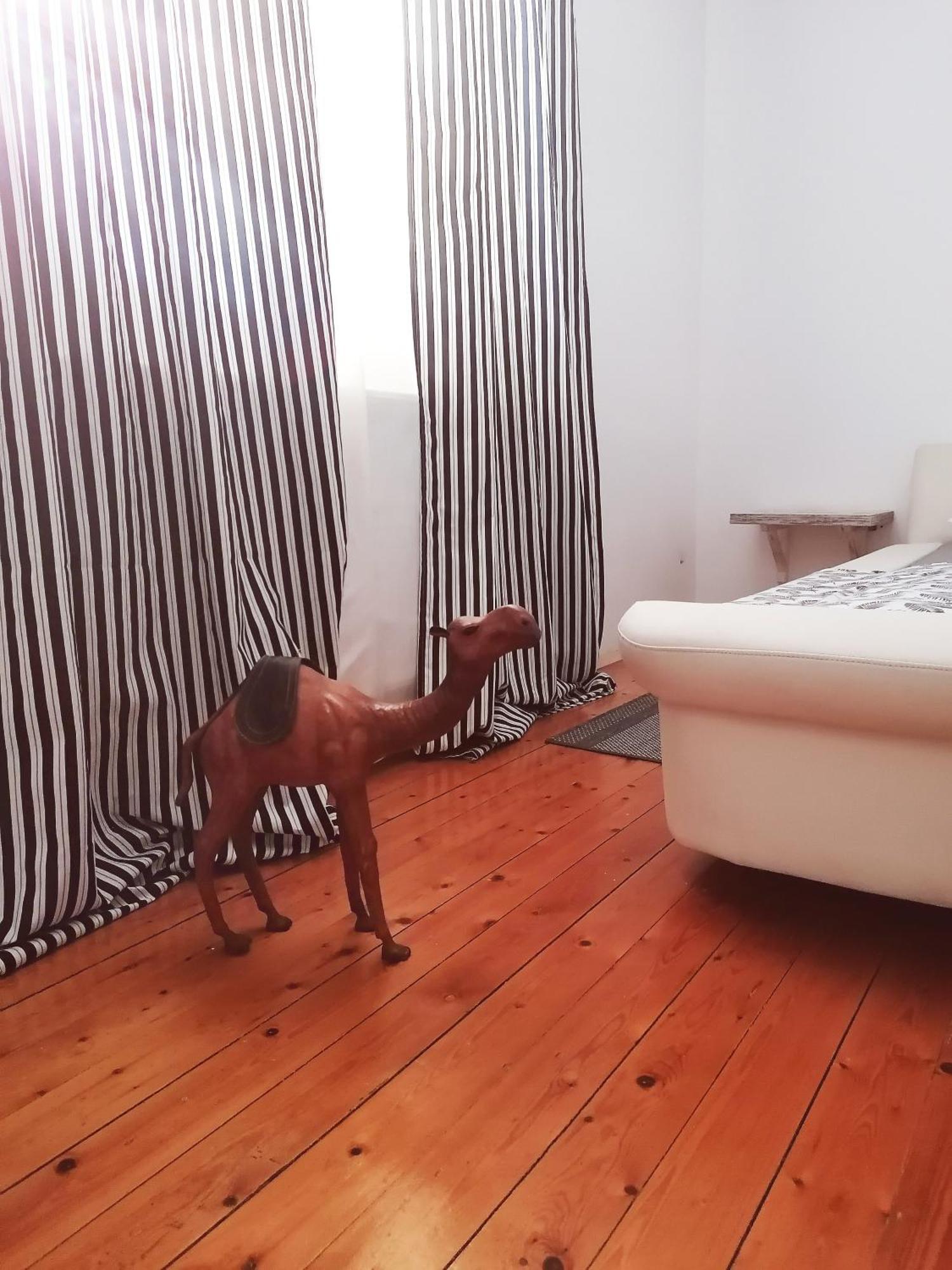 Apartman Centar Kruševac Buitenkant foto